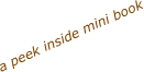 a peek inside mini book