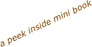 a peek inside mini book