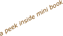 a peek inside mini book