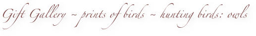 Gift Gallery ~ prints of birds ~ hunting birds: owls