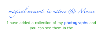 magical moments in nature & Maine
I have added a collection of my photographs and you can see them in the
gift gallery ~ photographs
click here